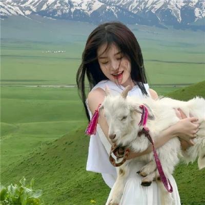 动物世界名人录 封面